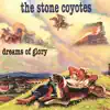 The Stone Coyotes - Desperate Times