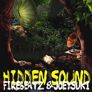 Hidden Sound - Single