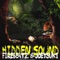 Hidden Sound - Firebeatz & JoeySuki lyrics
