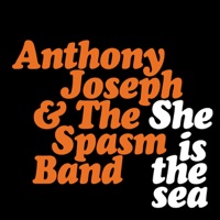 She Is the Sea - Single - Anthony Joseph & The Spasm Band