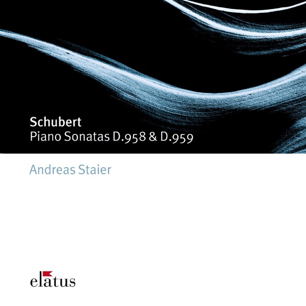 Schubert: Piano Sonatas Nos. 19 & 20