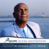 AUM Ocean Meditation artwork
