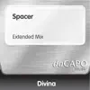 Spacer
