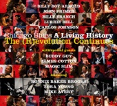 Buddy Guy - First Time I Met the Blues