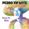 Osito Carpintero - Pedro Infante lyrics