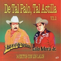 De Tal Palo Vol. 2 - Lalo Mora & Lalo Mora Jr.