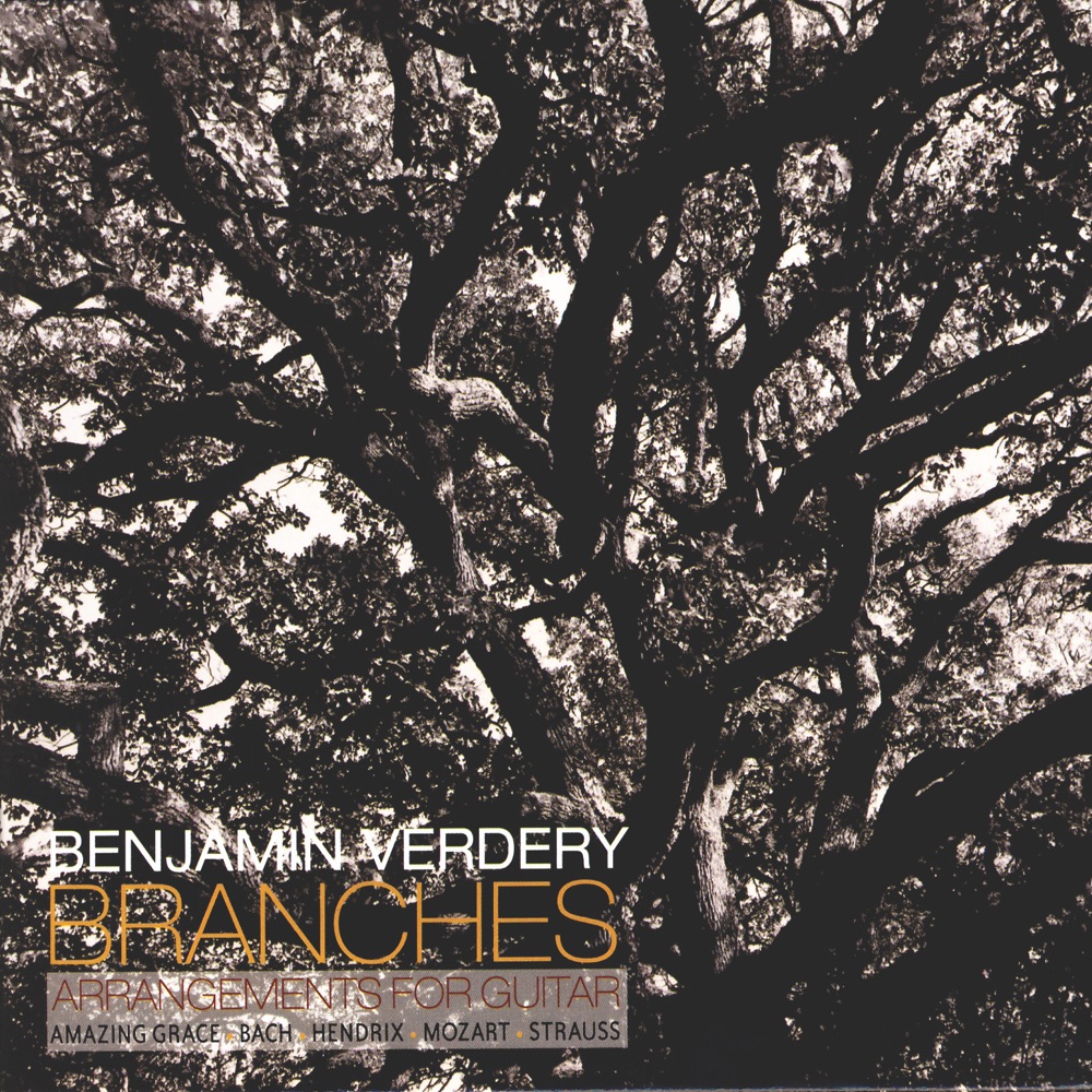 Обложка альбома «Branches» — Benjamin Verdery