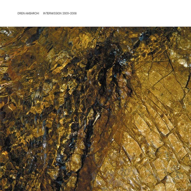 Disappearance - Ryuichi Sakamoto + Taylor Deupreeのアルバム