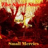 The Short Stories - Last of the Timelords