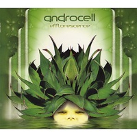 Efflorescence [CD Rec 003](Chill-out / Psy-dub / Downtempo) - Androcell