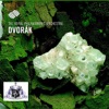 Antonin Dvorak Serenade For Strings In E Major, Op. 22: I. Moderato Antonín DvoÅák