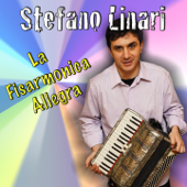 La fisarmonica allegra - Stefano Linari