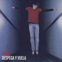 Despega y Vuela - Fena Della Maggiora