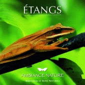 Ambiance Nature Etangs artwork