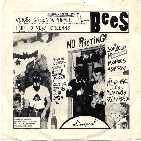 Обложка альбома «Voices Green and Purple - Single» — The Bees