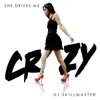 DJ Skillmaster - She Drives Me Crazy (Topmodelz Edit)