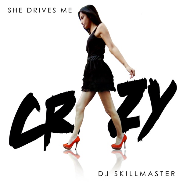 Cover DJ Skillmaster - She Drives Me Crazy (Andrew Spencer Remix)