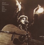 The Free Electric Band