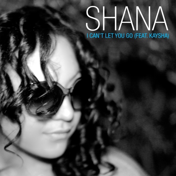 I Can't Let You Go - Single