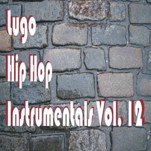 Hip Hop Instrumentals Vol. 12