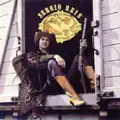 COURO DE BOI