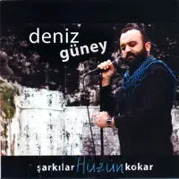 Aldı Gitti — Deniz Güney
