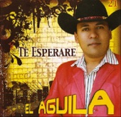 Oscar Ovidio - Te Esperare