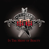 In the Midst of Beauty - Michael Schenker Group new Single