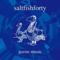 Goose Music by Saltfishforty on Apple Music