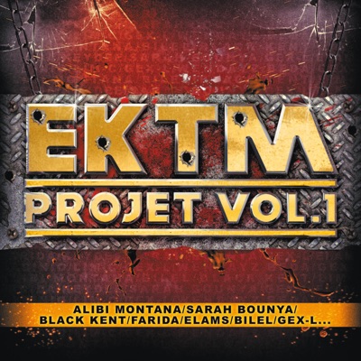 EKTM projet, Vol. 1
