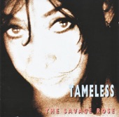 Tameless, 2008