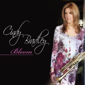 Cindy Bradley - Swing Set