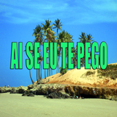 Cover art for Ai Se Eu Te Pego by Play