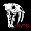 Red Fang, 2009