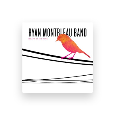 Listen to Ryan Montbleau Band, watch music videos, read bio, see tour dates & more!