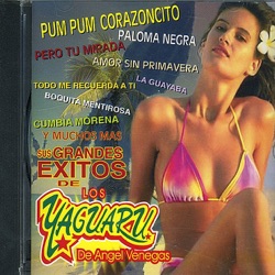 Los Yaguaru de Angel Venegas - Amor Sin Primavera