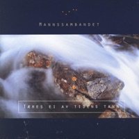 Mannssambandet - Her Under Korset