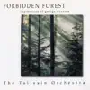Taliesin Orchestra - Thanksgiving