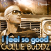 I Feel So Good - Collie Buddz