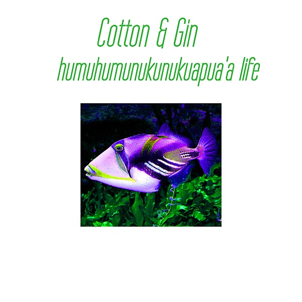 Humuhumunukunukuapuaa