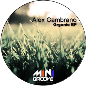 Organic - Single