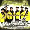 Los Indomables de Huetamo - El Gallo de Oro