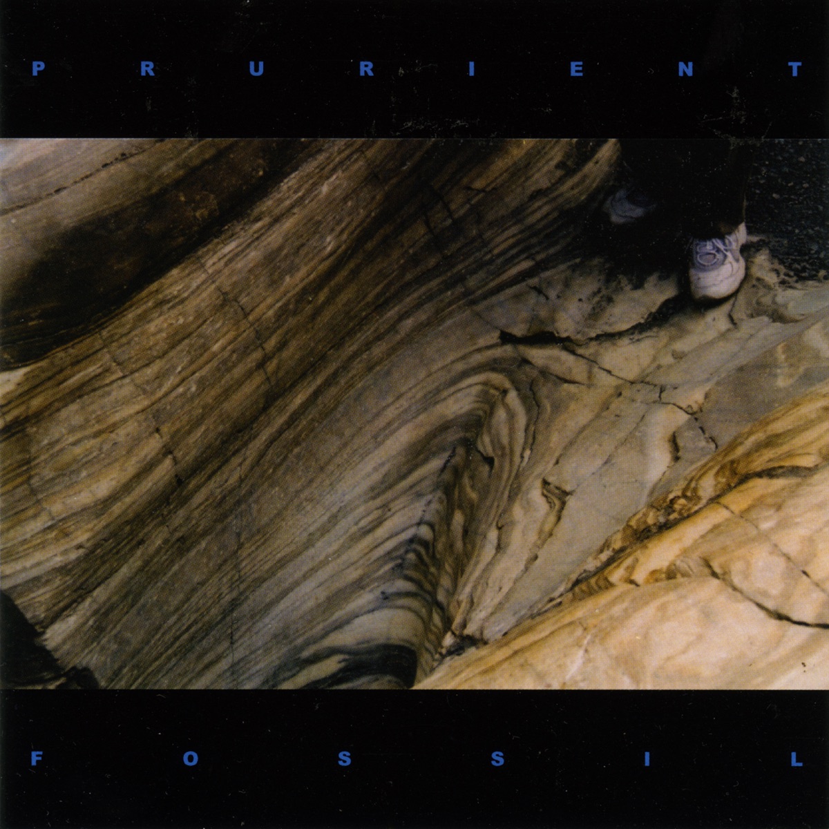 Fossil cover