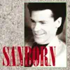 David Sanborn - Camel Island
