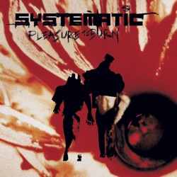 Systematic - Breakable