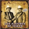 Serie de Exitos: Los Alegres de Teran - Antologia de Exitos