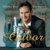 Gábor Boldoczki, Prague Philharmonia & Soma Dinyés - Sonate D-Dur für Trompete, Streicher und Basso Continuo: Grave