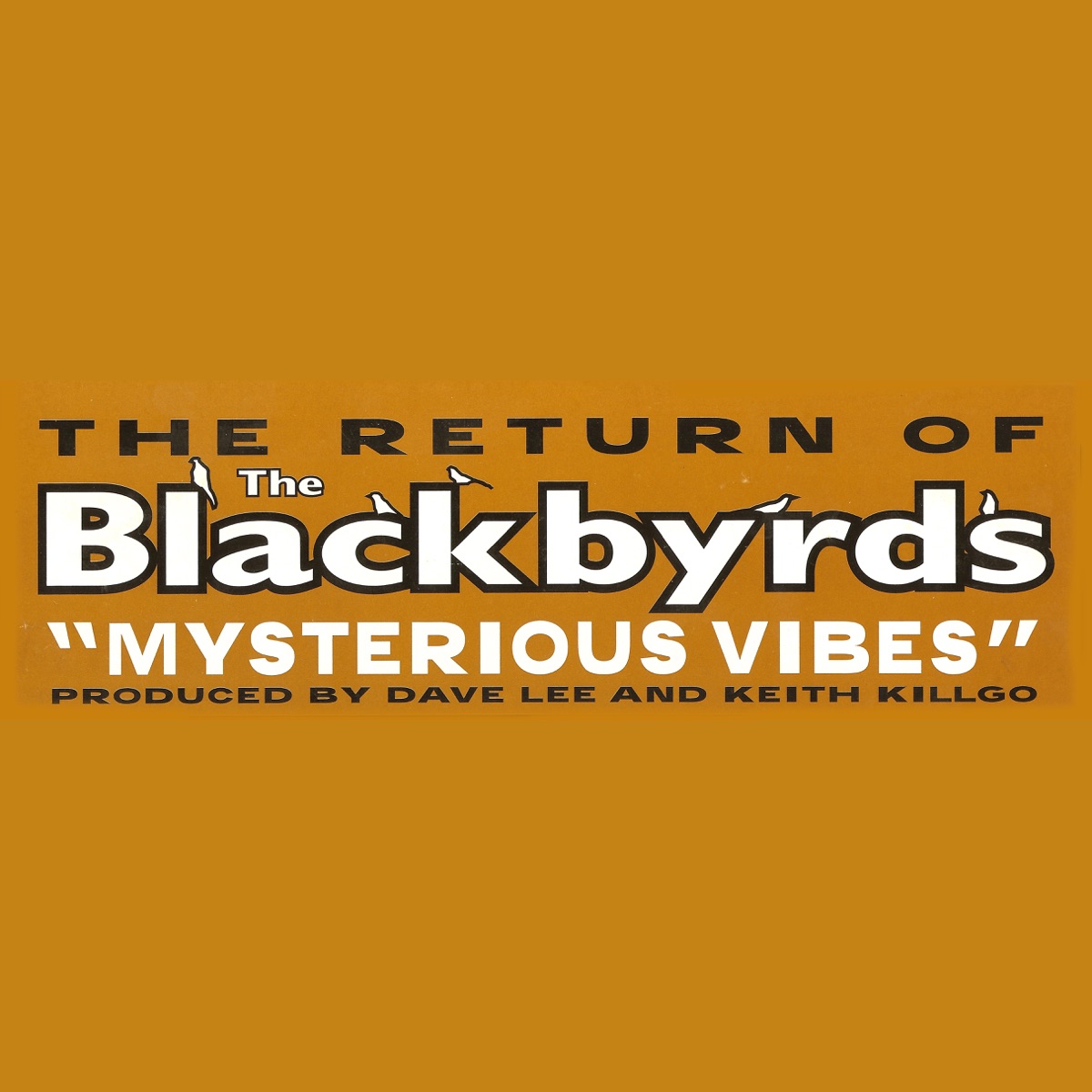Mysterious Vibes cover