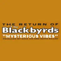 Mysterious Vibes (Club Mix) — The Blackbyrds