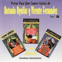 Pistas Para Que Cantes Exitos de Antonio Aguilar y Vicente Fernandez - Antonio Aguilar